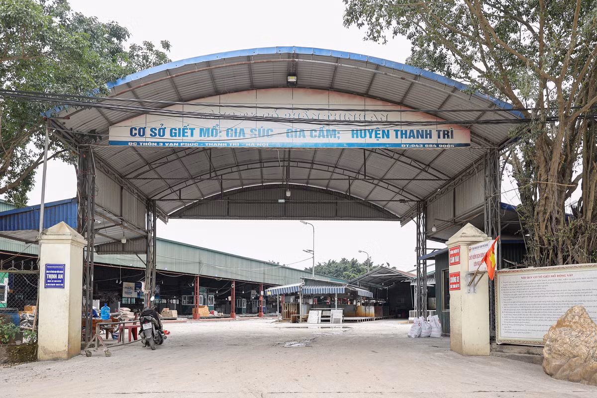 Những ngày vừa qua, vụ việc công an triệt phá đường dây giết mổ, tiêu thụ lợn bệnh tại Hà Nội được dư luận vô cùng quan tâm. Đặc biệt, địa điểm cơ sở giết mổ tập trung Vạn Phúc (thôn 3, xã Nam Phù, Hà Nội) trở thành điểm nóng chú ý .