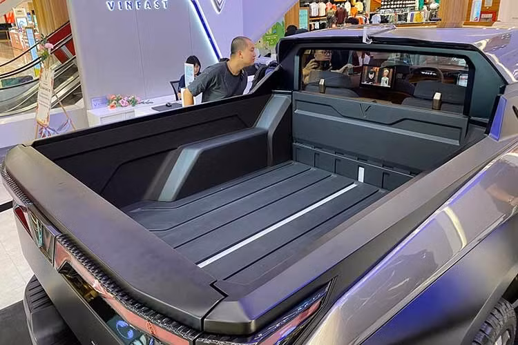 VF Wild thuộc phân khúc xe bán tải cỡ trung, có chiều dài tổng thể 209 inch (5.324mm) và chiều rộng 79 inch (1.997mm). Thiết kế gọn gàng của xe sẽ được tối ưu không gian nhờ khoang chứa có thể mở rộng linh hoạt, thông qua tính năng gập tự động của kính chắn gió và hàng ghế sau, giúp tăng chiều dài khoang chứa từ 5 lên đến 8 feet (1.524 đến 2.438 mm).