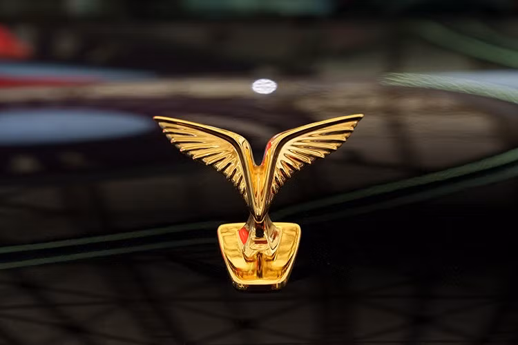 Các chi tiết ngoại thất được tái thiết kế với mặt ca-lăng dựng đứng lấy cảm hứng từ tre và trống đồng. Logo hình cánh chim Lạc mạ vàng thể hiện dấu ấn văn hóa Việt. Xe sử dụng mâm 21 inch (phiên bản chống đạn là 19 inch), đèn Full LED và khoảng sáng gầm 175 mm, khả năng lội nước 450 mm.