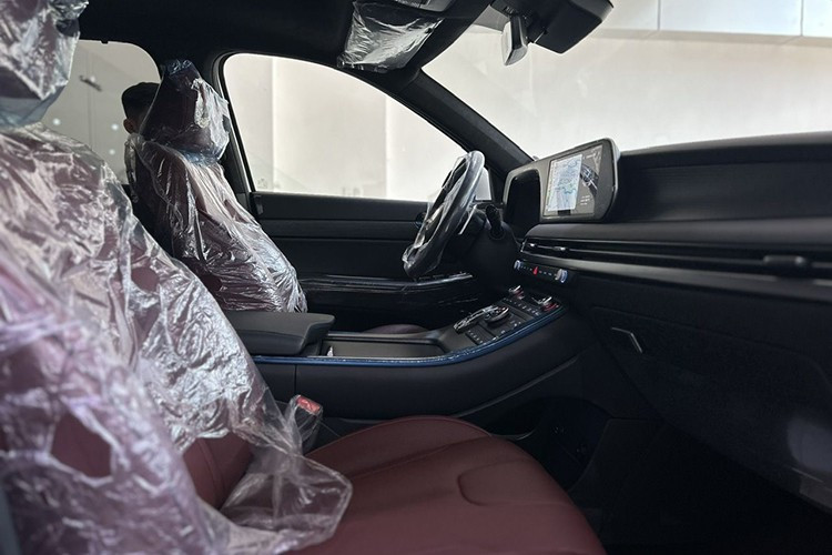 Hyundai Palisade hiện là mẫu SUV cỡ lớn bán chạy nhất tại thị trường Việt Nam với doanh số cộng dồn 801 chiếc trong 9 tháng đầu năm nay. Xe cạnh tranh với những đối thủ như Volkswagen Teramont trong khi Ford Explorer hiện đã bị ngừng bán. Hyundai Palisade tại Việt Nam có cả phiên bản 6 chỗ và 7 chỗ.