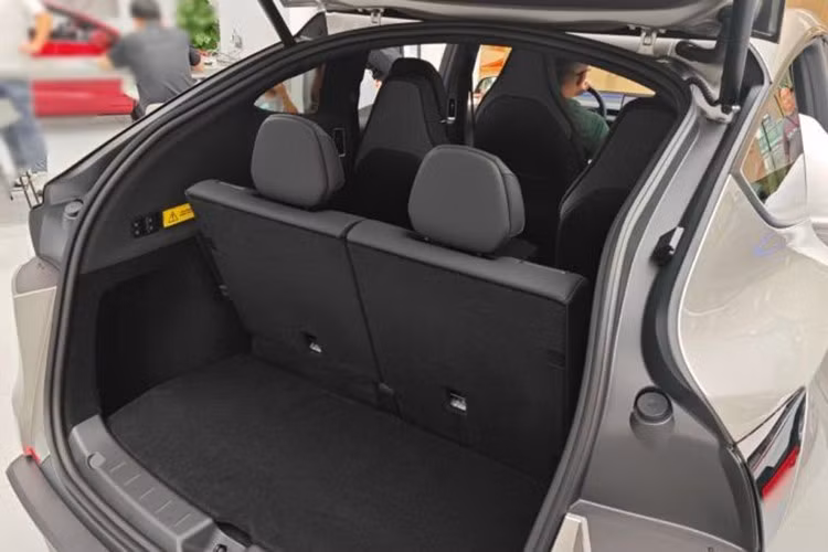 Khoảng không trên đầu hạn chế, dễ gây bất tiện với hành khách cao trên 1,7 m. Khi sử dụng đủ 3 hàng ghế, khoang hành lý chỉ đủ chứa khoảng 3 ba lô, dù Tesla có bổ sung cốp trước 116 lít và hộc chứa dưới sàn. Một kênh truyền thông ô tô Trung Quốc - EV Insights sau khi trải nghiệm thực tế đã kết luận hàng ghế thứ ba của Model Y L chưa đạt kỳ vọng.