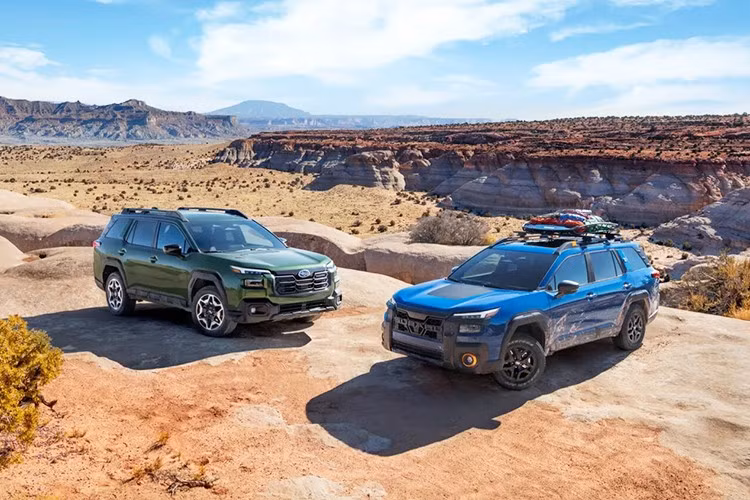 Theo kế hoạch, Subaru Outback 2026 sẽ có mặt tại các đại lý Mỹ vào cuối năm nay, bản Wilderness dự kiến ra mắt đầu năm 2026.