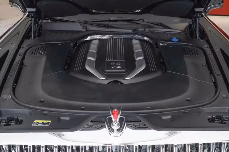 Hongqi Guoli được trang bị động cơ V8, tăng áp kép, dung tích 4.0L, cho công suất tối đa 388 mã lực và mô-men xoắn cực đại 530 Nm. Động cơ kết hợp với hộp số tự động 8 cấp, cho phép xe có thể đạt vận tốc tối đa 220 km/h và tăng tốc từ 0-100 km/h trong 7,9 giây. Tuy nhiên, mức tiêu thụ nhiên liệu của xe khá cao, lên tới 15,2 lít/100 km. Do đó, xe sở hữu bình nhiên liệu cực lớn với dung tích 112 lít.