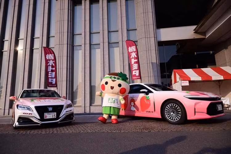 Thống đốc Fukuda Tomiichi cũng có mặt tại buổi lễ, xuất hiện trong trang phục “Vua Vương quốc Dâu tây”, góp phần làm nổi bật không khí lễ hội. Sự kiện còn có trình diễn thời trang do sinh viên thực hiện, triển lãm nghệ thuật và nhiều món tráng miệng lấy cảm hứng từ dâu tây.