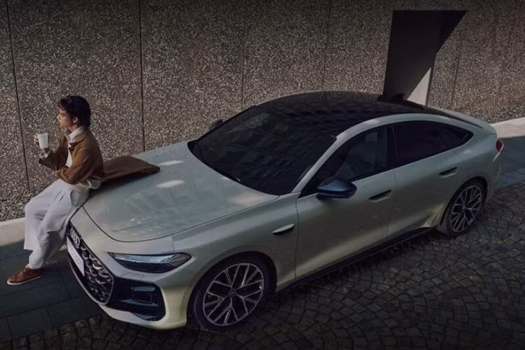 Mặc dù thị trường xe năng lượng mới tại Trung Quốc đang phát triển nhanh chóng nhưng phân khúc cao cấp vẫn do các thương hiệu quốc tế như Audi thống trị. Các sản phẩm bán chạy nhất trong mảng xe sang ở thị trường Trung Quốc vẫn là ôtô chạy xăng.