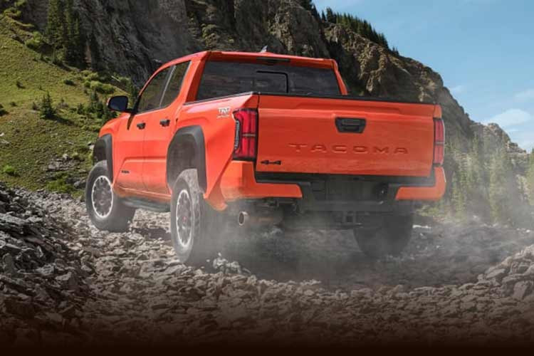 Với đời 2025, Tacoma đứng thứ 7 trong top 12 mẫu xe bền bỉ nhất theo Consumer Reports với mức độ tin cậy cao hơn mức trung bình. Mẫu xe bán tải cỡ trung này cũng ghi điểm ở khảo sát mức độ hài lòng của người dùng nhờ khả năng off-road tốt và hệ thống điều khiển dễ sử dụng. Xe có 3 tùy chọn động cơ xoay quanh máy xăng 4 xi-lanh, tăng áp, dung tích 2.4L, đi kèm hộp số sàn 6 cấp hoặc tự động 8 cấp.