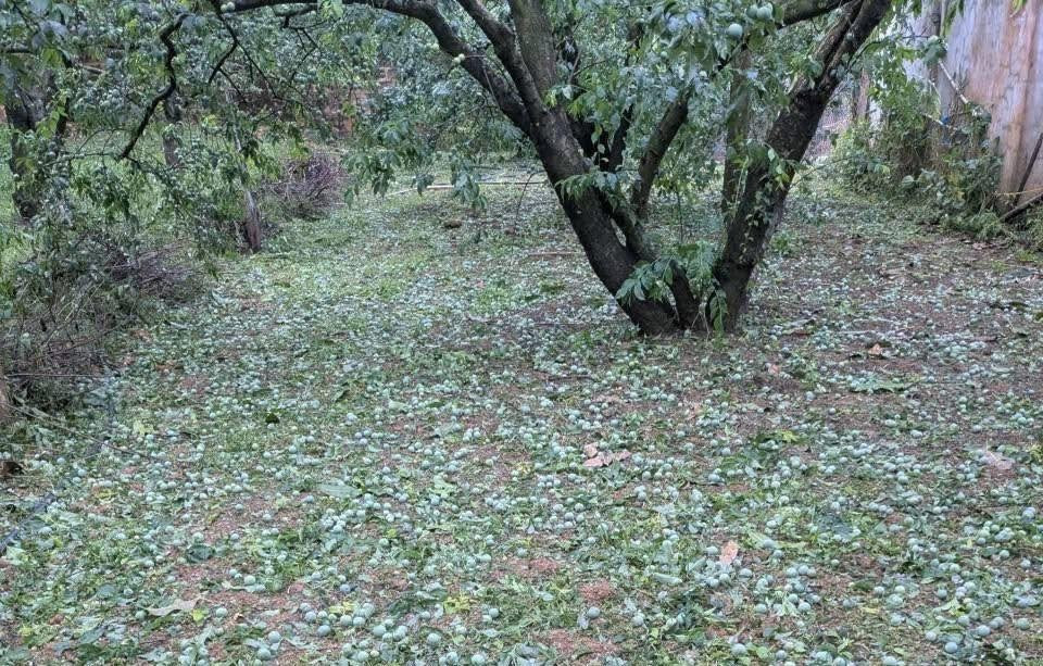 Mưa đá tại Phú Thọ chiều 22/3.