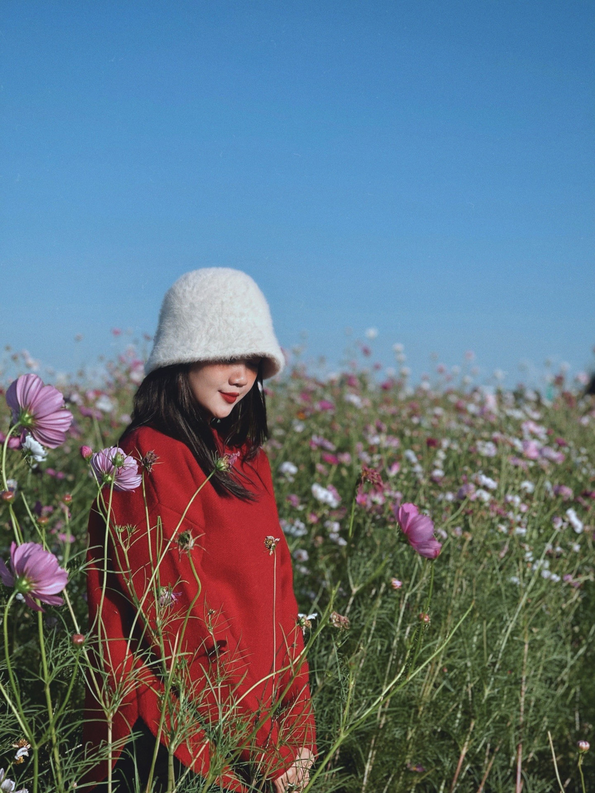 Trước khi gắn bó với ngành hàng không, Nam Phương từng tốt nghiệp ngành Kiến trúc tại Đại học Bách khoa Đà Nẵng và có thời gian làm việc với vai trò kiến trúc sư.