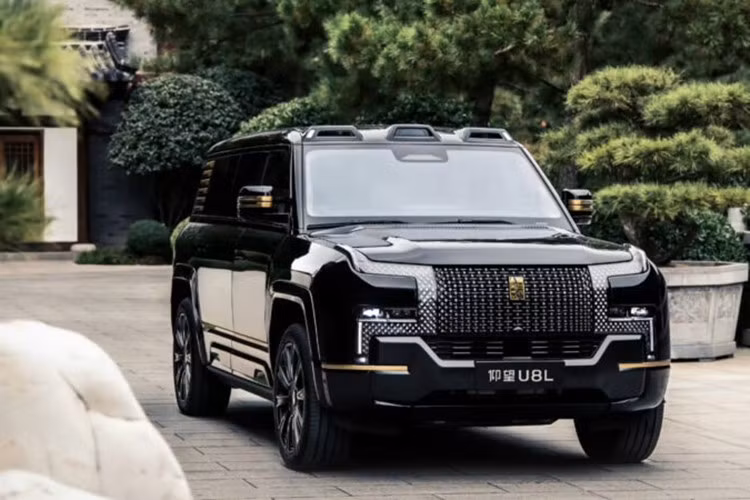 Mặc dù thuộc tập đoàn BYD nhưng doanh số của Yangwang tại Trung Quốc khá thấp. Trong nửa đầu năm 2025, hãng chỉ giao 1.003 xe trong nước, giảm 5,5 lần so với cùng kỳ năm 2024. BYD kỳ vọng sẽ thúc đẩy doanh số của thương hiệu xe sang này bằng cách mở rộng ra thị trường quốc tế và đa dạng hóa sản phẩm.