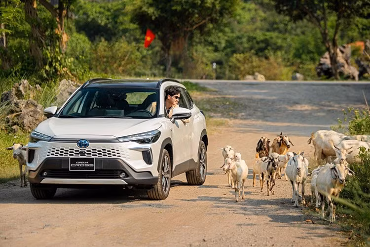 Dẫn đầu top 5 mẫu xe hybrid bán chạy nhất tháng 5/2025 là Toyota Corolla Cross HEV với doanh số hơn 200 xe, ghi nhận mức tăng trưởng ấn tượng so với tháng trước. Xếp ngay sau là Suzuki XL7 Hybrid – mẫu xe cũng đang dần khẳng định vị thế trong phân khúc nhờ mức giá dễ tiếp cận và khả năng tiết kiệm nhiên liệu vượt trội.