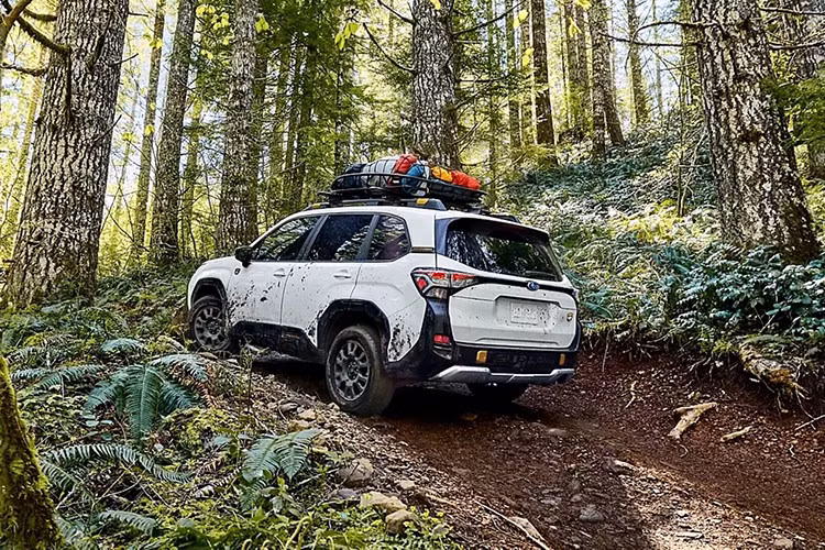 Dù có nhiều nâng cấp, Subaru vẫn giữ nguyên mức giá khởi điểm 29.995 USD cho dòng Forester tiêu chuẩn, ngoại trừ phí vận chuyển tăng nhẹ lên 1.450 USD.