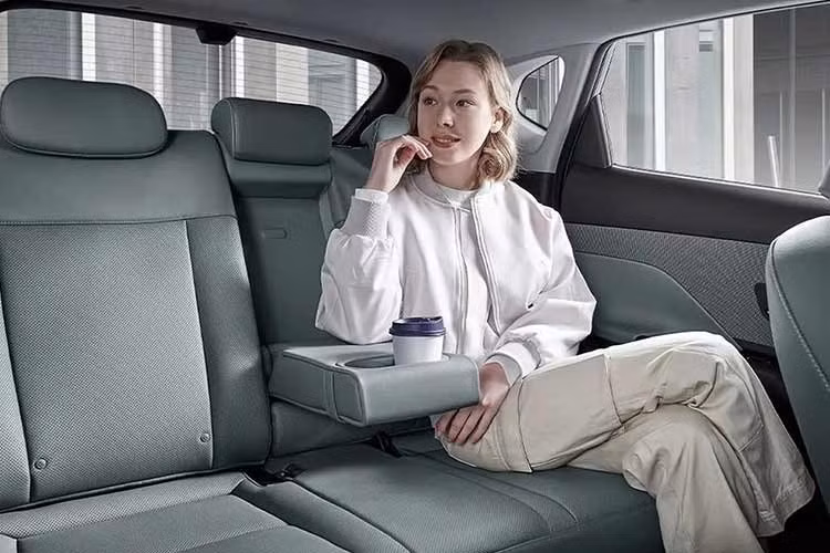 Mỗi giao diện có giá 29.900 Won (khoảng 50.000 đồng) để sử dụng trọn đời, ngoại trừ chủ đề Pony được cung cấp miễn phí. Tuy nhiên, việc truy cập cửa hàng Hyundai BlueLink yêu cầu đăng ký thuê bao sau khi kết thúc thời gian dùng thử miễn phí ban đầu.