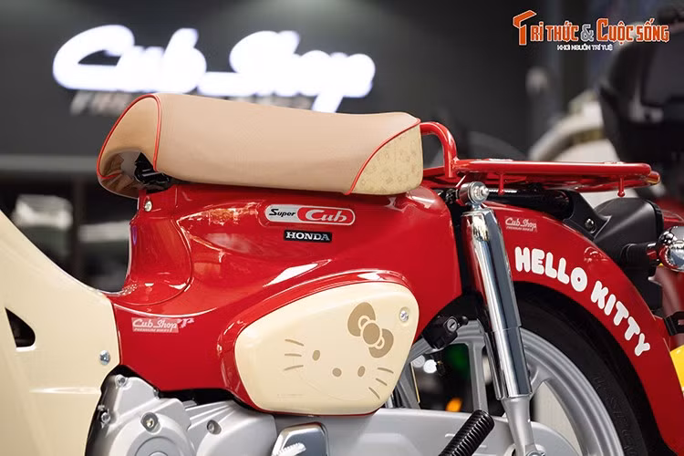 Cả hai phiên bản này mang đặc trưng về diện mạo hướng đến nhiều nhóm người dùng khác nhau. Từ những bậc phụ huynh đang tìm kiếm phương tiện di chuyển an toàn, tiết kiệm kết hợp phong cách cổ điển cùng sự vui nhộn cho con cái sử dụng đi học, cho đến những bạn trẻ cá tính, thích khác biệt và muốn khẳng định phong cách cá nhân.