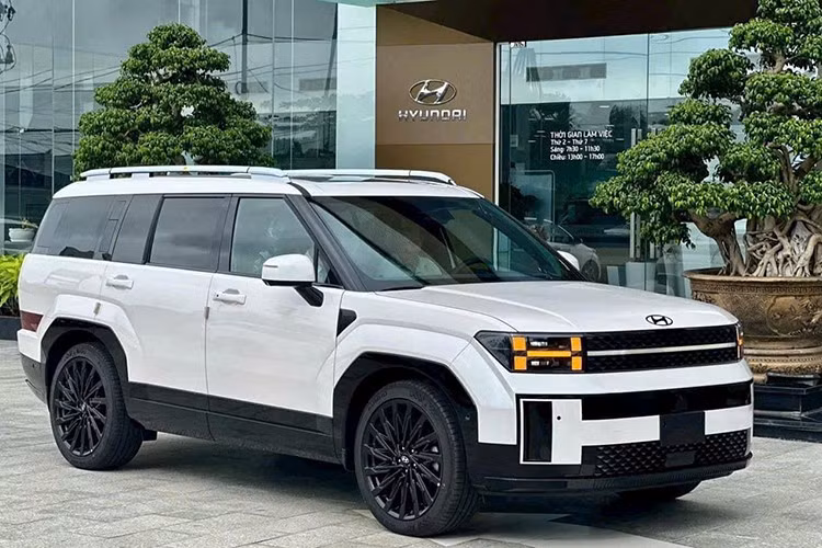 Mới đây, nhân viên tư vấn tại một đại lý ở Hà Nội chào bán xe Hyundai SantaFe Calligraphy Turbo VIN 2024 màu trắng với mức giảm 215 triệu đồng, đưa giá niêm yết 1,365 tỷ đồng xuống còn 1,150 tỷ đồng. Khách hàng bị giới hạn về số lượng và màu sắc bởi đây là xe sản xuất 2024. Ngoài ra, khi chọn xe 2024, người mua sẽ phải chấp nhận mức khấu hao sâu hơn so với xe đời 2025, trong khi thiết kế và trang bị không có sự thay đổi.