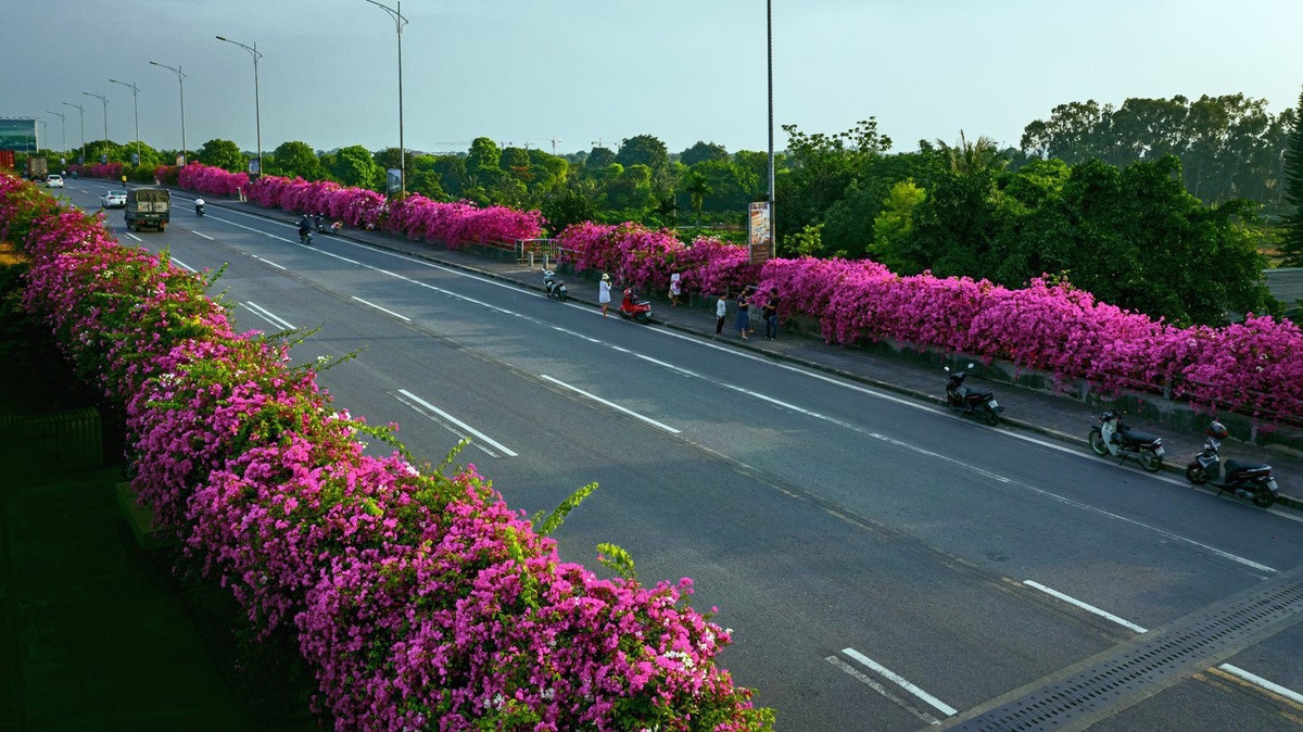 Với không gian xanh mát, trong lành của Ecopark kết hợp với vẻ đẹp lãng mạn của cây cầu hoa giấy, nơi đây đã trở thành điểm đến lý tưởng cho những ai yêu thiên nhiên và muốn có những bức ảnh thật đẹp. Ảnh: Dân Việt
