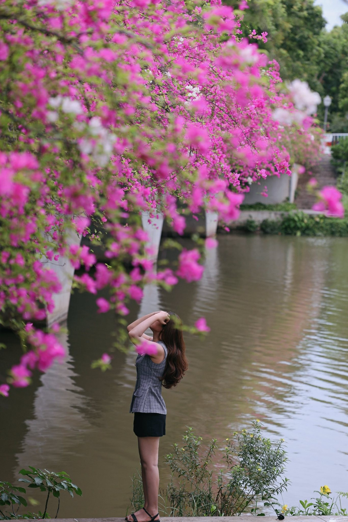 View - Cánh đồng cỏ lau ở Ecopark chốn hẹn hò, chụp ảnh lý tưởng cho du khách Hà Nội | Báo Tri thức và Cuộc sống - TIN TỨC PHỔ BIẾN KIẾN THỨC 24H
