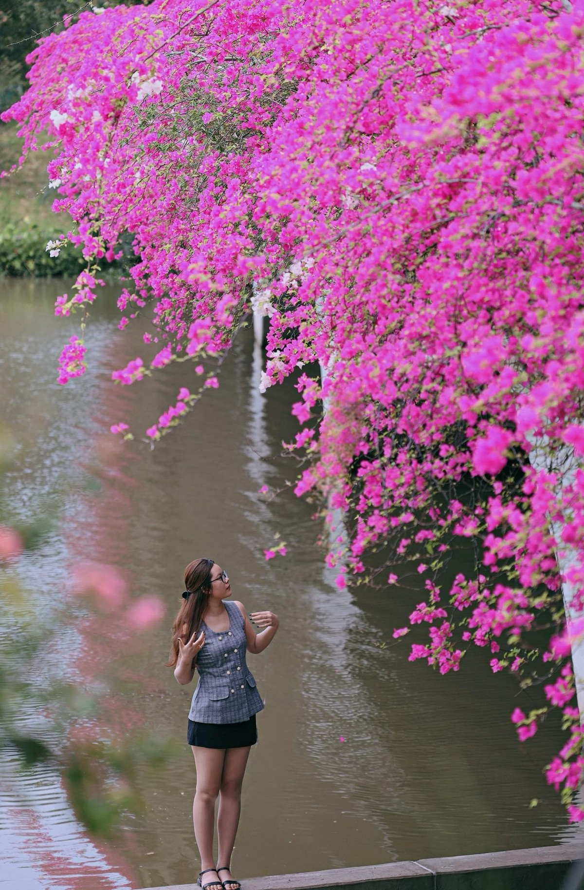 Đứng từ xa, bạn sẽ thấy một dải lụa hồng mềm mại vắt ngang qua mặt hồ, đó chính là vẻ đẹp của cây cầu hoa giấy. Khi đến gần, bạn có thể thỏa sức tạo dáng với nhiều góc chụp khác nhau. Ảnh: Nguyễn Kim Anh Anh