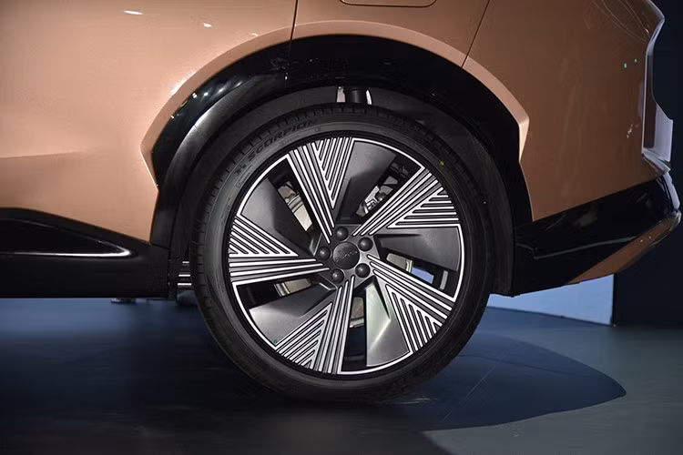 Sang tới bên hông, Lynk &amp; Co 08 EM-P có một số chi tiết nổi bật như tay nắm cửa thò thụt, gương hậu tràn viền với tạo hình cách điệu đặt ở cửa xe nhằm hạn chế điểm mù. Bộ mâm ở bản tiêu chuẩn là 19 inch và bản Halo là 21 inch. Đuôi xe có cốp điện và đèn hậu LED trải dài sang hai bên.