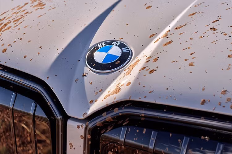 Thảm sàn chống chịu mọi thời tiết và giá nóc màu đen cũng là trang bị tiêu chuẩn, cùng với hộp đựng đồ trên nóc, có sức chứa lên đến 320 lít. Một móc kéo rơ-moóc giúp X3 Rugged có khả năng kéo tới 2.495 kg.