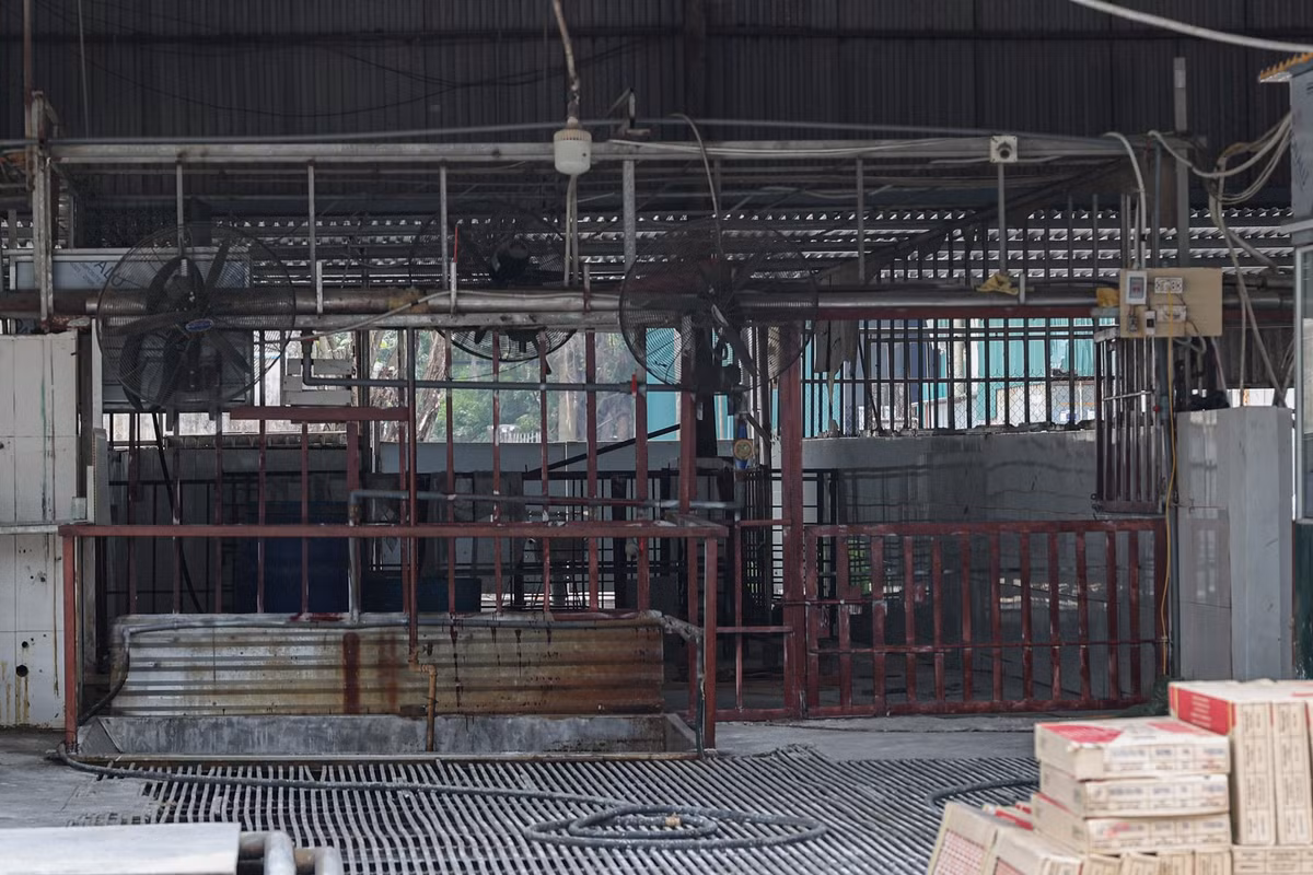 Phía trong cơ sở giết mổ tập trung Vạn Phúc.