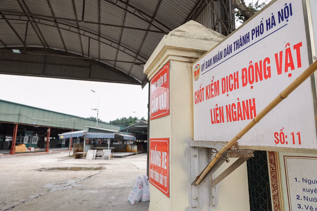 Hiện đơn vị cho thuê là Công ty Thịnh An đã rắc vôi bột khử trùng và sửa chữa, cải tạo nhiều hạng mục tại khu vực này.