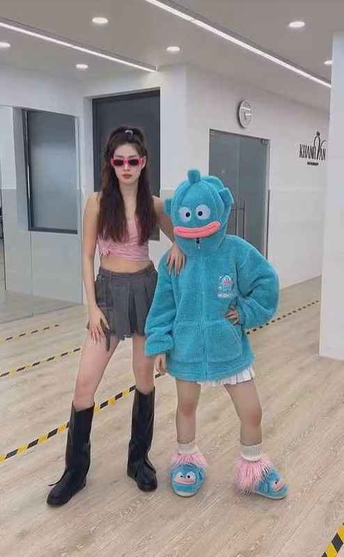 Thậm chí, nhiều giả thuyết đã được đưa ra, từ việc "Cá Hề Biết Nhảy" là một người nổi tiếng đã có tên tuổi, đến việc cô là một vũ công chuyên nghiệp hay thậm chí là một diễn viên hài...