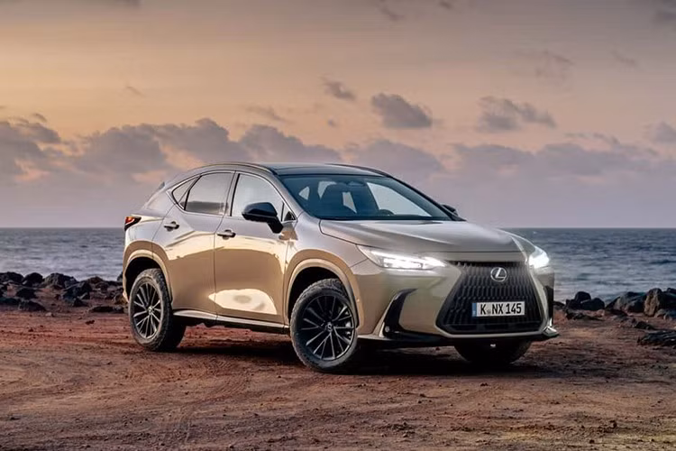 Trong 6 tháng đầu năm 2025, Lexus đã bán được 38.253 chiếc NX tại Mỹ. Trong đó, 15.450 chiếc thuộc phiên bản hybrid và 4.230 chiếc là plug-in hybrid. Những con số này cho thấy tỷ lệ người dùng chọn mua các biến thể điện hóa ngày càng tăng.