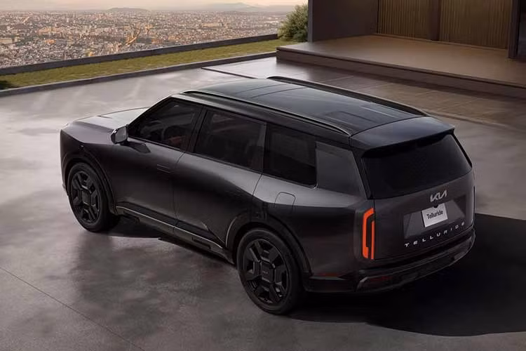 Trong dải sản phẩm Telluride, phiên bản X-Pro SX Prestige nằm trên biến thể X-Line SX Prestige hướng đến khách hàng cao cấp. Mẫu xe này có giá khởi điểm 56.790 USD tại Mỹ, chưa bao gồm chi phí vận chuyển và các trang bị tùy chọn. So với X-Line, bản X-Pro được trang bị lốp rộng hơn, hệ thống treo nâng cấp, khoảng sáng gầm xe 9,1 inch cùng nhiều chi tiết ngoại thất sơn đen.