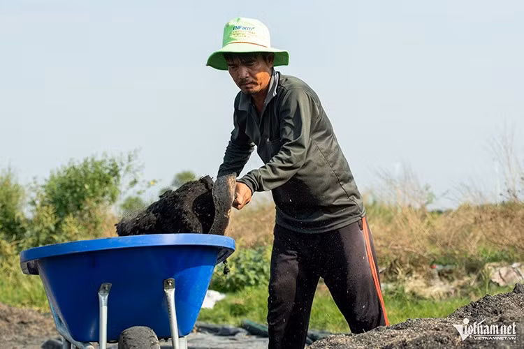 Tiền công mỗi ngày của nông dân dao động từ khoảng 250.000 – 300.000 đồng, tùy khối lượng công việc và số lượng cây chăm sóc trong ngày.