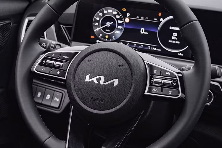 Mặc dù có thiết kế gần như giống nhau giữa các thị trường, Kia Seltos tại Trung Quốc lại được trang bị các tùy chọn động cơ khác biệt và có phần kém mạnh mẽ hơn.