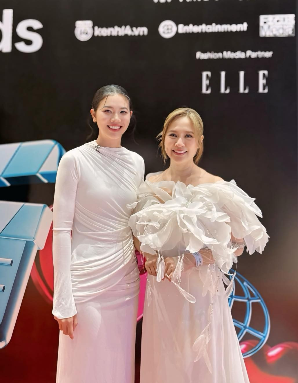 Khi mới 19 tuổi, Ánh Viên đã giành 8 huy chương vàng, 1 huy chương bạc, 1 huy chương đồng cho đoàn thể thao Việt Nam, phá 8 kỷ lục và được công nhận là vận động viên ngoài Singapore xuất sắc nhất tại Đại hội Thể thao Đông Nam Á 2015 ở Singapore.