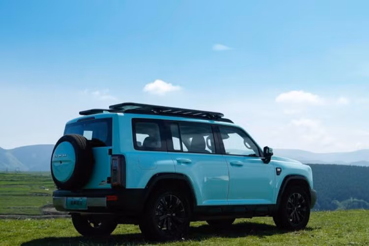 Haval Raptor mới được trang bị động cơ xăng tăng áp 1,5 lít (GW4B15M) kết hợp với hệ thống động cơ kép P2+P4. So với động cơ GW4B15E 1.5T trước đây, công suất tối đa giảm từ 123kW xuống còn 115kW, trong khi động cơ phía sau đạt 150kW. Tổng công suất hệ thống đạt 330kW hay 442 mã lực với mô-men xoắn 750Nm, giúp xe tăng tốc từ 0–100km/h trong 5,9 giây.