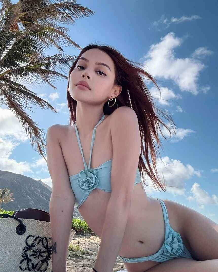 Lily từng được mệnh danh là "bông hồng lai" của châu Á bởi nhiều dân mạng tin rằng cô mang hai dòng máu Philippines - Australia.