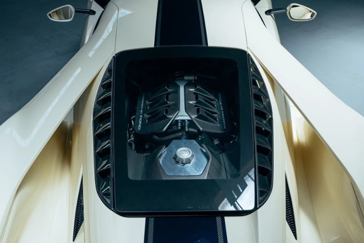 Xe có 5 chế độ lái gồm Normal, Sport, Track, Wet và Vmax. Theo công bố ban đầu, Ford GT có khả năng tăng tốc 0–97 km/h dưới 3 giây, trước khi đạt tốc độ tối đa 347 km/h.