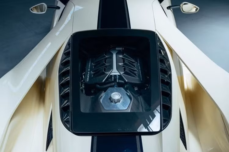 Xe có 5 chế độ lái gồm Normal, Sport, Track, Wet và Vmax. Theo công bố ban đầu, Ford GT có khả năng tăng tốc 0–97 km/h dưới 3 giây, trước khi đạt tốc độ tối đa 347 km/h.