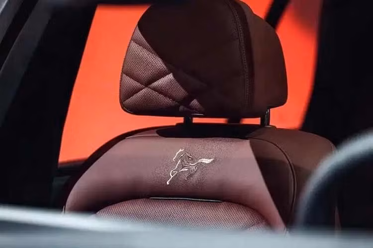 Sẽ có hai tùy chọn hệ động lực cho bản X5 này: động cơ hybrid nhẹ tăng áp 2.0 lít với công suất 258 mã lực và động cơ hybrid nhẹ 3.0 lít với công suất 381 mã lực, cả hai đều được kết hợp với hộp số 8 cấp.