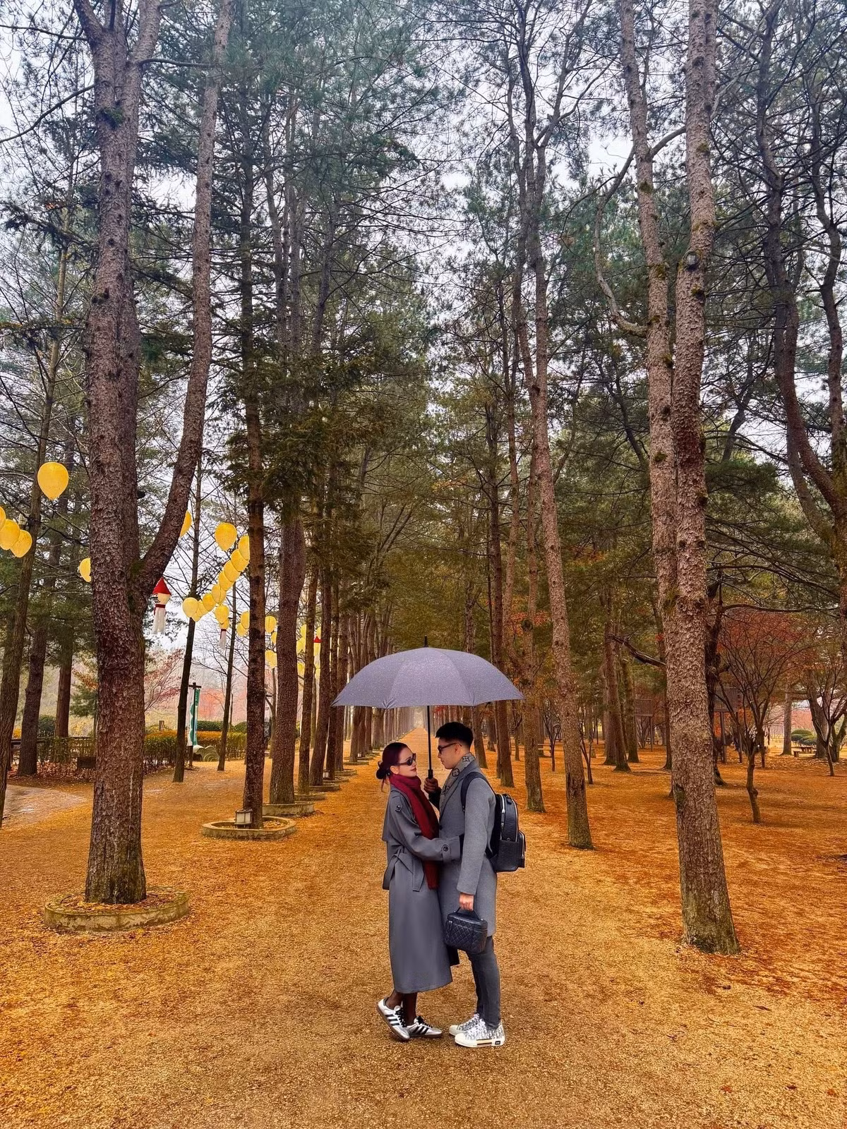 Chuyến đi còn có khoảnh khắc lãng mạn khi cả hai đứng dưới tán rừng thông, chung chiếc ô giữa tiết trời se lạnh. Cảnh sắc vàng nâu của mặt đất hòa cùng màu xám của trang phục giúp tổng thể khung hình trở nên hài hòa và đầy cảm xúc.