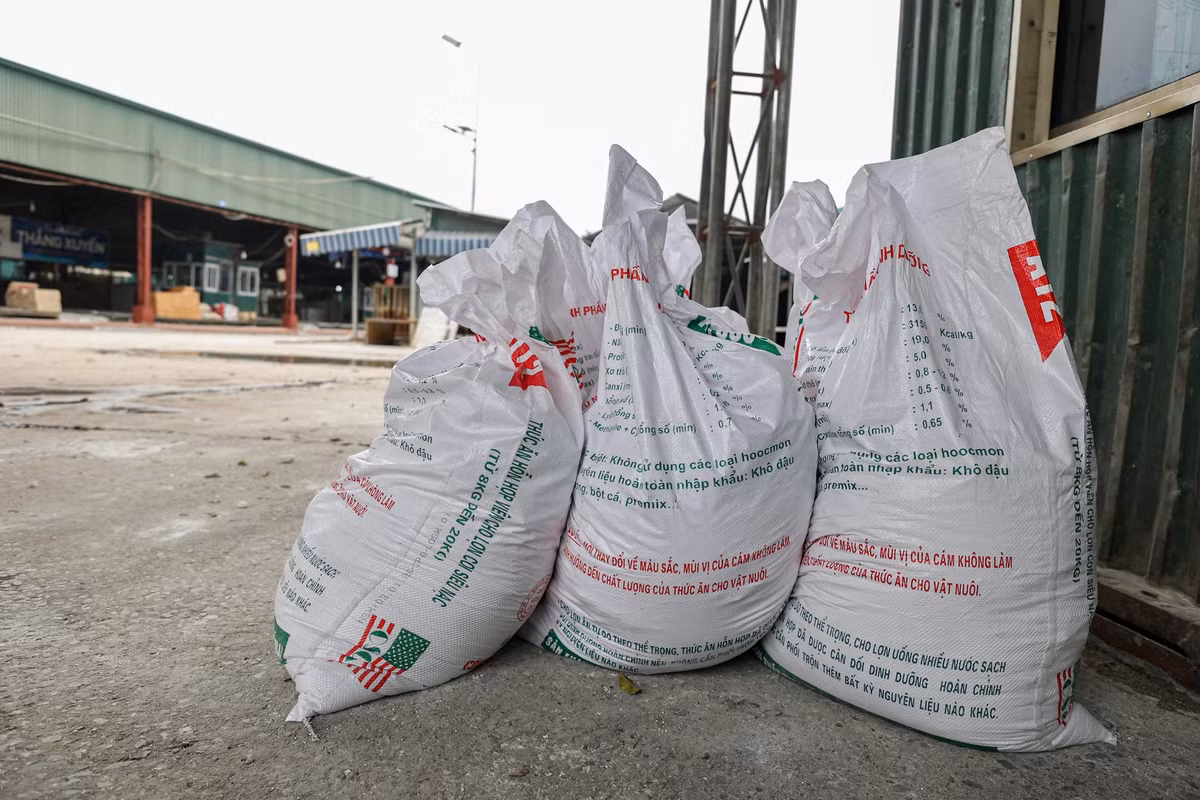 Theo tìm hiểu, lò mổ của Nguyễn Thị Hiền chuyển về hoạt động tại đây từ giữa năm 2025.