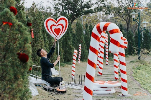 Con đường kẹo ngọt nằm trong vườn tùng thu hút các bạn sinh viên tới chụp ảnh.