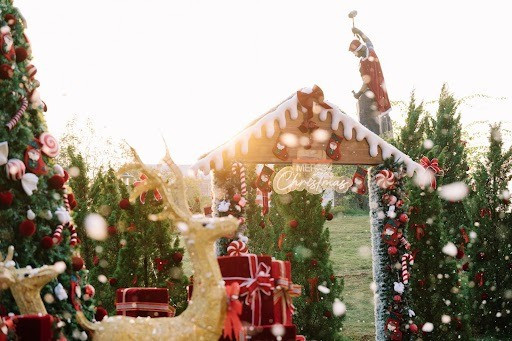 Hệ thống ánh sáng trang trí rực rỡ, cây thông Noel khổng lồ cùng loạt tiểu cảnh mang phong cách châu Âu đã biến campus rộng 30ha thành một “vũ trụ Giáng sinh” đúng nghĩa