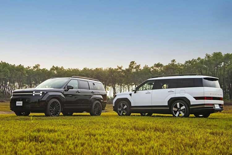 Hyundai SantaFe hiện là mẫu xe duy nhất của Hyundai tại Việt Nam có phiên bản hybrid. Giá bán niêm yết của xe khoảng 1,369 tỷ đồng. Trong tháng 3, mẫu SUV này được áp dụng tổng ưu đãi khoảng 220 triệu đồng, bao gồm giảm giá tiền mặt, quyền lợi thẻ hội viên và gói gia hạn bảo hành.