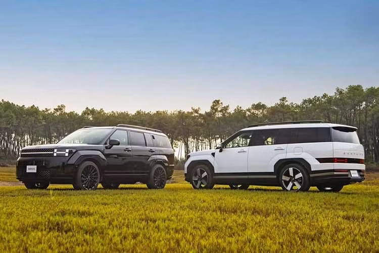 Hyundai SantaFe hiện là mẫu xe duy nhất của Hyundai tại Việt Nam có phiên bản hybrid. Giá bán niêm yết của xe khoảng 1,369 tỷ đồng. Trong tháng 3, mẫu SUV này được áp dụng tổng ưu đãi khoảng 220 triệu đồng, bao gồm giảm giá tiền mặt, quyền lợi thẻ hội viên và gói gia hạn bảo hành.