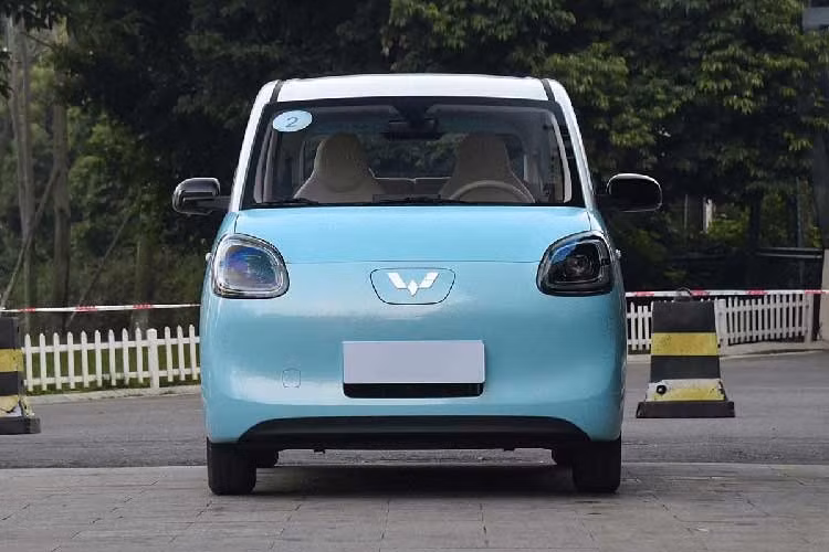 Tuy rẻ nhưng Wuling Hongguang Mini EV lại không thực sự được ưa chuộng tại Việt Nam vì kích thước nhỏ, xuất xứ Trung Quốc, trang bị tiện nghi và an toàn nghèo nàn. Đặc biệt, xe còn có một bất lợi lớn là chỉ có thể sạc tại nhà. Điều này khiến Wuling Hongguang Mini EV nhanh chóng bị lép vế khi đối thủ nội địa là VinFast VF3 đè bẹp.