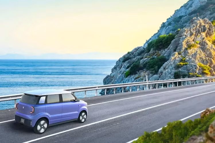 Hiện tại, thông tin chi tiết về mẫu xe điện này vẫn còn khá ít. Tuy nhiên, theo một báo cáo trước đó, Suzuki có thể phát triển một mẫu xe hatchback thuần điện dành riêng cho thị trường Ấn Độ.