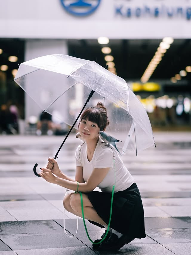 Trên trang cá nhân, zi_huang_ thường xuyên chia sẻ hình ảnh bên cạnh nhiều giống vẹt khác nhau, từ vẹt xám, vẹt trắng cho đến những chú vẹt có bộ lông rực rỡ sắc màu.