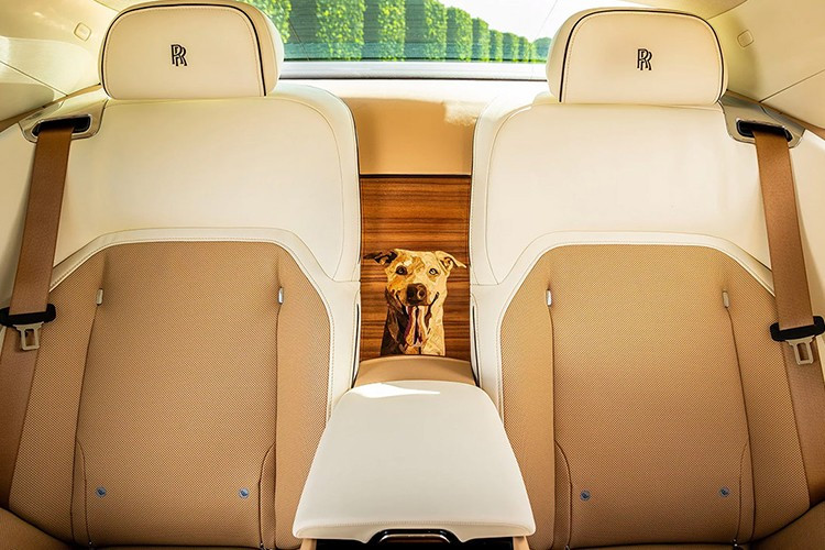 Chỉ biết rằng, Rolls-Royce Spectre sẽ có giá mặc định gần 400.000 đô la tại Hoa Kỳ. Phiên bản Black Badge cao cấp hơn có giá gần 470.000 đô la chưa bao gồm các tùy chọn bổ sung, nghĩa là một chiếc Spectre được trang bị tùy chọn khiêm tốn có giá bán lẻ là nửa triệu đô la.