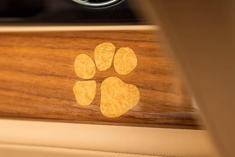 Spectre do BMW phát triển được sản xuất tại Goodwood trên nền tảng Architecture of Luxury. Nền tảng này đã ra mắt lần đầu tiên với Phantom, sau đó được áp dụng cho toàn bộ dòng xe Rolls-Royce. Phantom, Ghost nhỏ hơn, và Cullinan đều sử dụng động cơ V12 mạnh mẽ và hộp số tự động tám cấp của ZF.