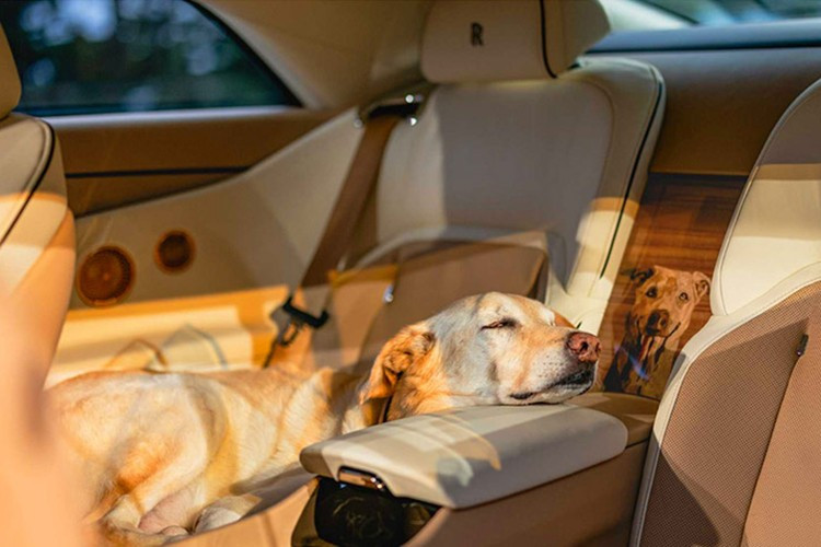 Chúng được gọi là Pear, Louro Faia, Tulipwood và Purple Heart. Một họa tiết khảm nhỏ hơn hình dấu chân chó được đặt ở phía ghế hành khách trên bảng điều khiển. Chủ đề dấu chân chó tiếp tục được thể hiện qua bậc cửa màu vàng hồng. Đúng như phong cách Rolls-Royce, hãng xe Anh Quốc vẫn chưa công bố bất kỳ thông tin nào về giá cho những chi tiết cá nhân hóa và thực sự ấm áp này.