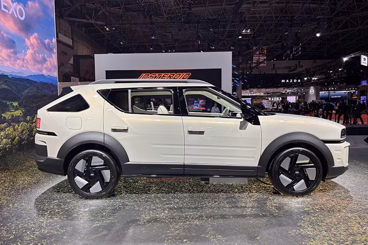 Triển lãm năm nay đánh dấu hoạt động lớn nhất của Hyundai Motor tại thị trường Nhật Bản. Hãng xem đây là cơ hội để kết nối với các khách hàng quan tâm đến môi trường thông qua các công nghệ điện khí hóa. Ông Yoo Seok Chung, Phó Chủ tịch Điều hành tại Hyundai Motor Company, đã xác nhận kế hoạch của công ty.