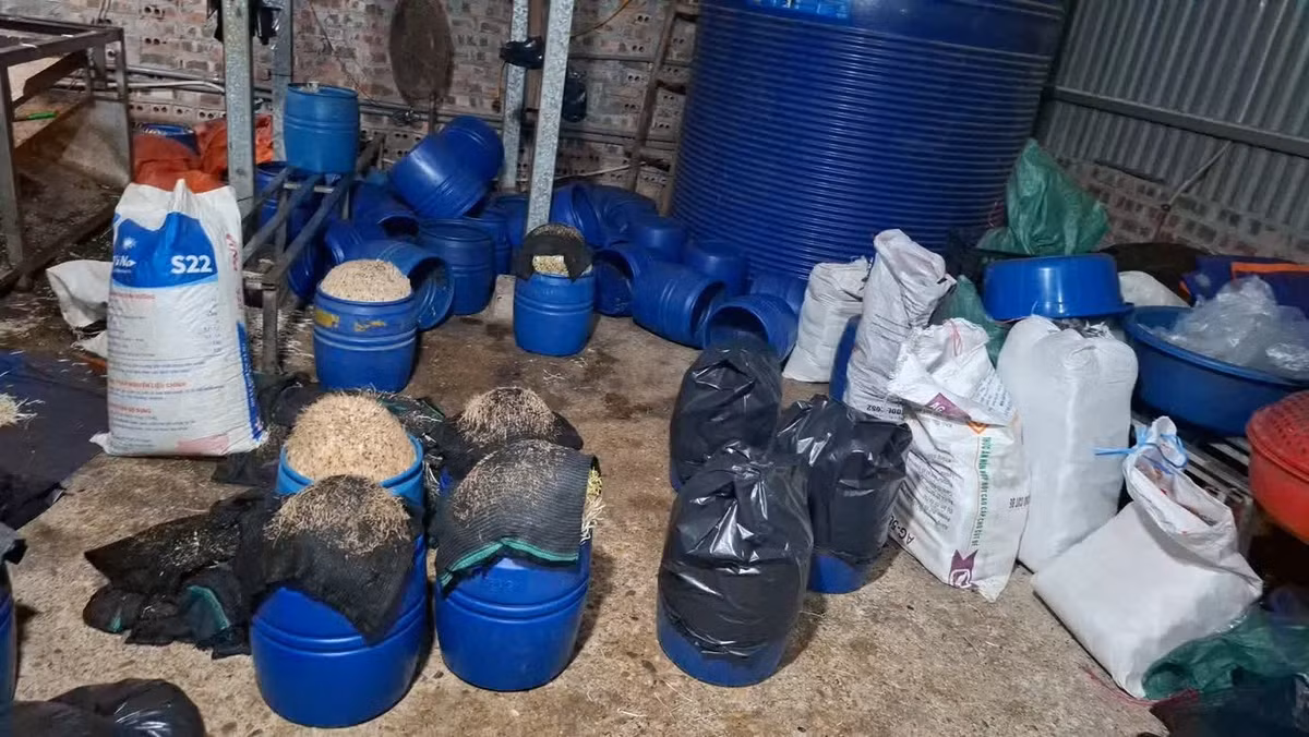 Khu vực sản xuất giá đỗ của Chu Thị Hòa. Ảnh: Thiên Bình.